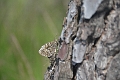 09 08 12_3748_edited-1